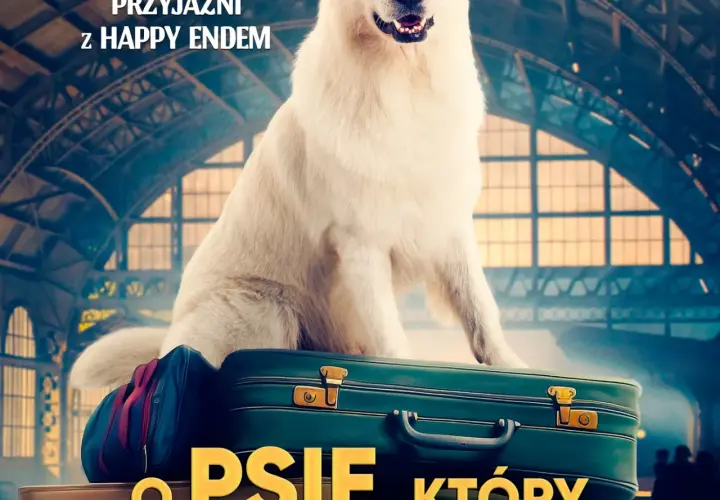 Gdzie obejrzeć film o psie który jeździł koleją online i za darmo