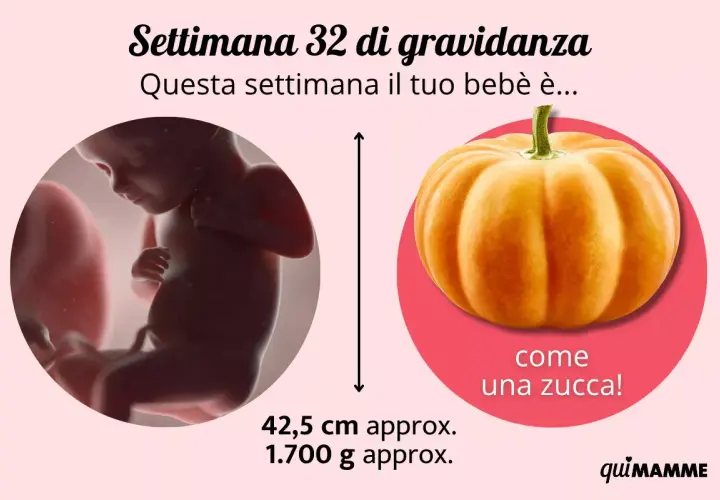 Feto di 32 settimane, lungo 42,5 cm e con un peso feto 32 settimane di circa 1.700 g, paragonato a una zucca.