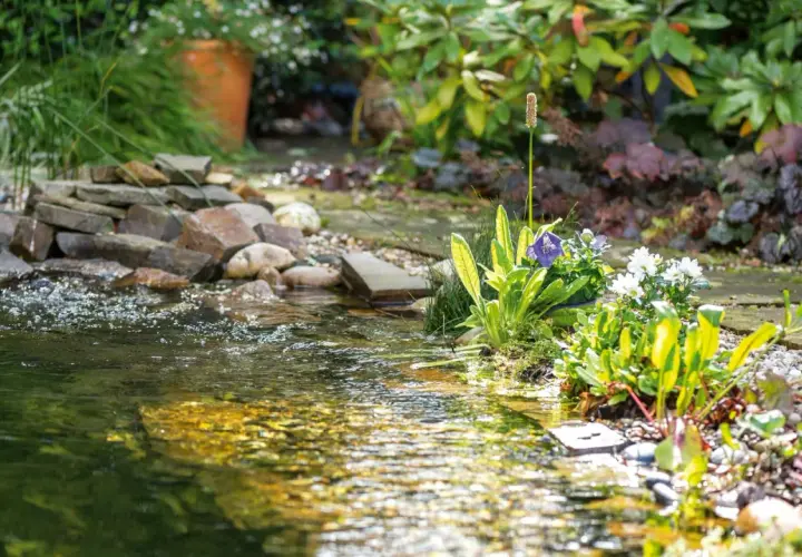 Ein kleiner Wasserfall plätschert in einen Teich, umgeben von üppigen wasserpflanzen und bunten Blumen. Steine und Kies säumen das Ufer.