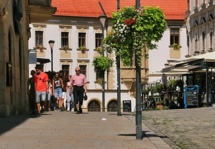 Ołomuniec gdzie zjeść: najlepsze miejsca na tradycyjne dania i więcej