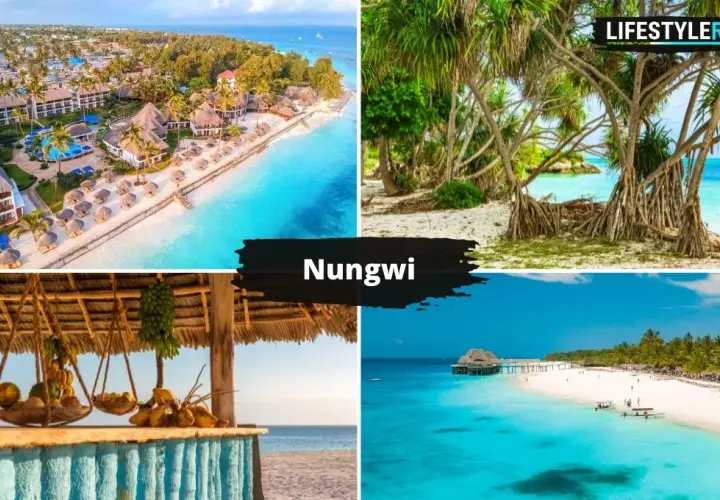 Zanzibar: Co zobaczyć? Najpiękniejsze plaże i atrakcje wyspy