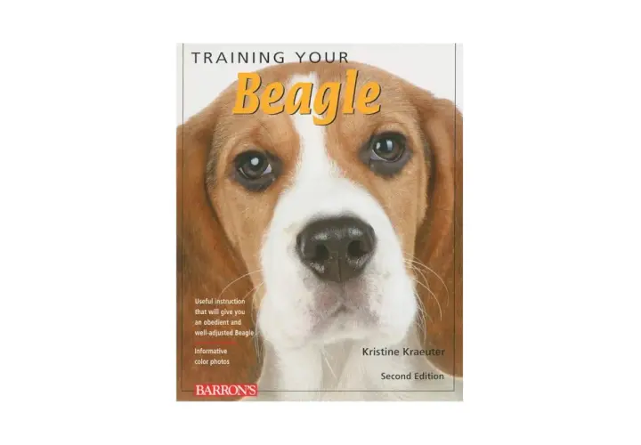 Tresura beagle'a: Skuteczny poradnik krok po kroku. Koniec z ucieczkami!
