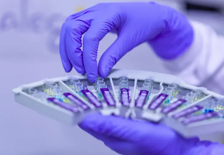 Ręka w fioletowej rękawiczce manipuluje próbówkami w laboratorium. Szybkie testy, jak **mycofast**, wymagają precyzji.