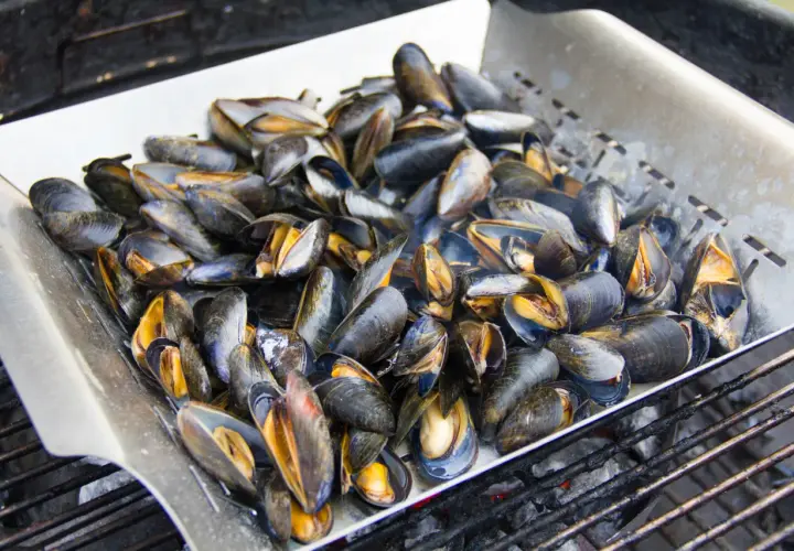 Un plateau de moules au barbecue, prêtes à être dégustées. Les coquilles sombres et les chairs orangées promettent un festin savoureux.