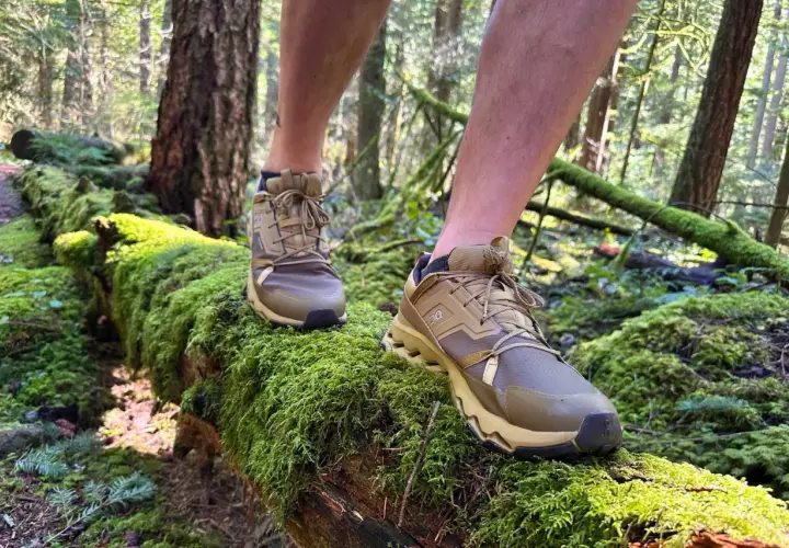 These tan hiking shoes are perfect for exploring moss-covered logs in the forest. You can wear hiking shoes everyday for comfort and support on any terrain.