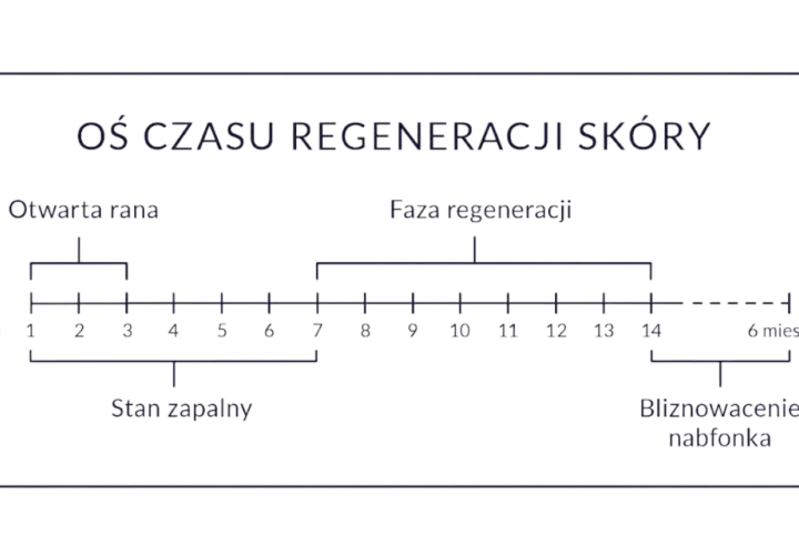 Oś czasu regeneracji skóry: otwarta rana (dni 1-3), stan zapalny (dni 1-6), faza regeneracji (dni 7-14), bliznowacenie naskórka (do 6 miesięcy). Pielęgnacja tatuażu zależy od fazy gojenia.