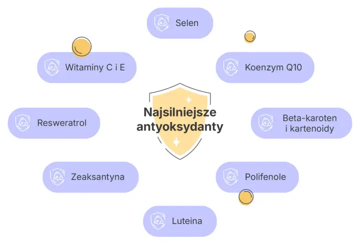 Co to są antyoksydanty? Diagram przedstawia najsilniejsze antyoksydanty: witaminy C i E, selen, koenzym Q10, beta-karoten, polifenole, luteinę, zeaksantynę i resweratrol.