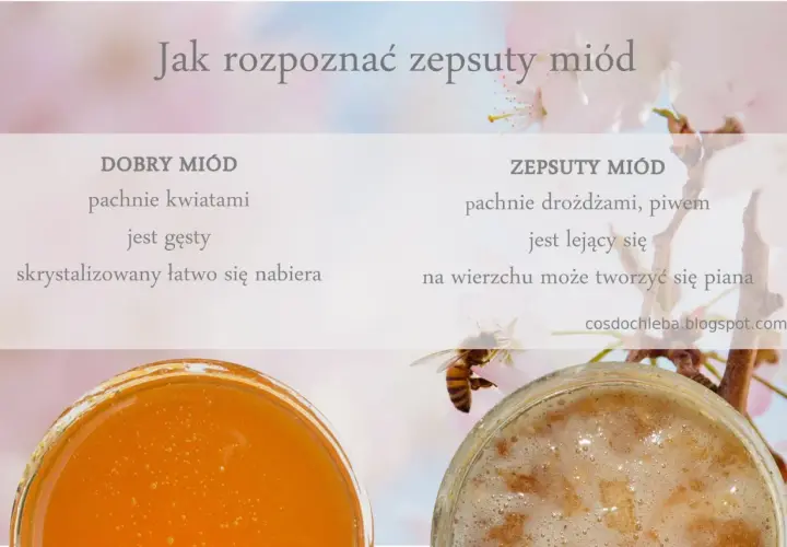 Jak rozpoznać zepsuty miód: dobry pachnie kwiatami, jest gęsty; zepsuty drożdżami, lejący się, z pianą.