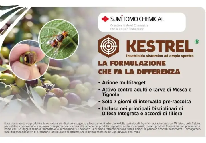 Insetto dannoso per le olive, Kestrel insetticida dosi efficaci contro mosca e tignola. Protezione per la tua raccolta.