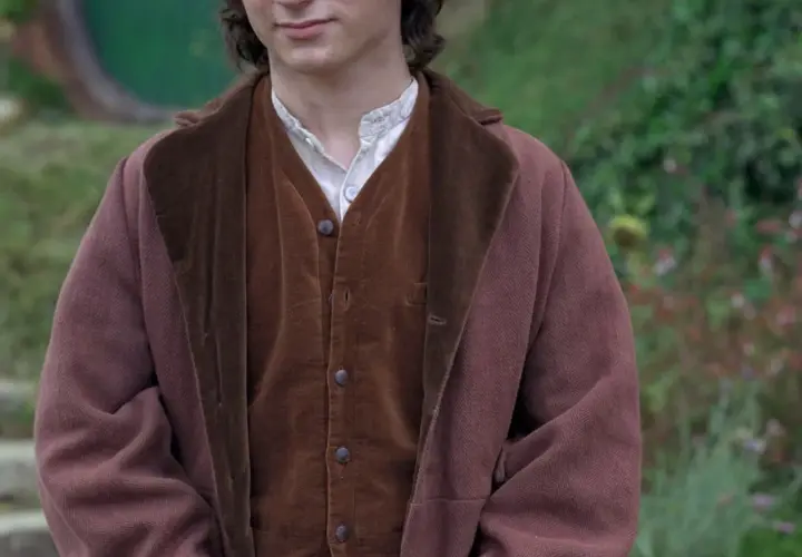 Elijah Wood jako Frodo Baggins: ciekawostki i kariera aktora z Władcy Pierścieni
