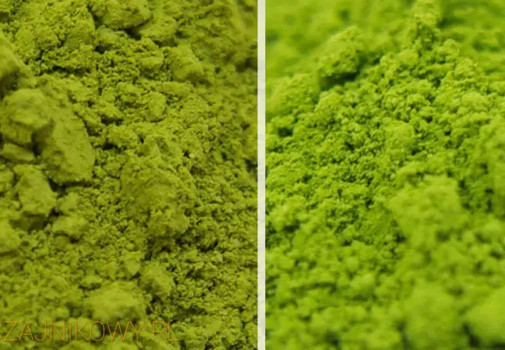 Jaka matcha najlepsza? Sprawdź, co wyróżnia najlepsze rodzaje