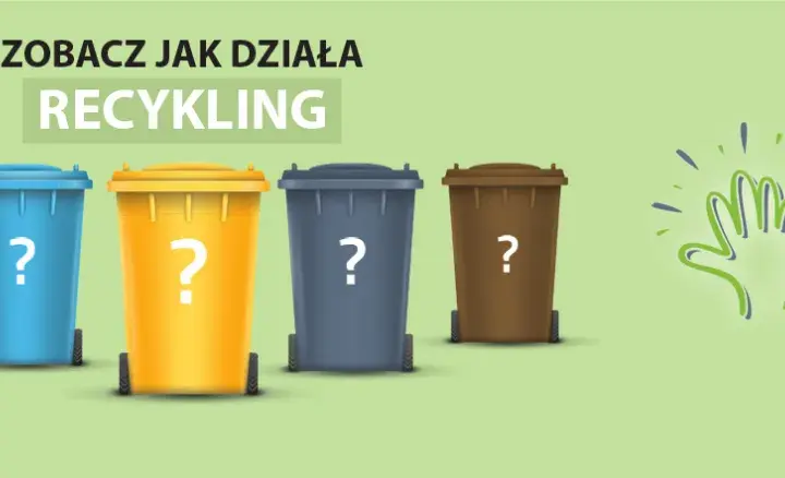 Kto dostarcza pojemniki na śmieci i jakie masz obowiązki jako właściciel