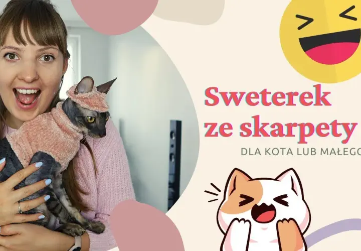 Jak zrobić kota ze skarpetki - proste kroki na wyjątkowy projekt DIY