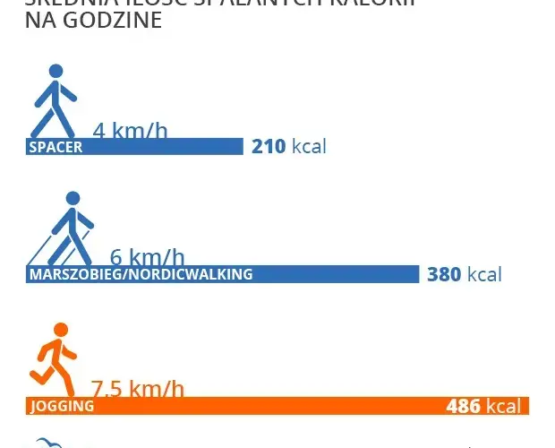 Spacer 3 km ile kalorii? Poznaj prawdę o spalaniu tłuszczu