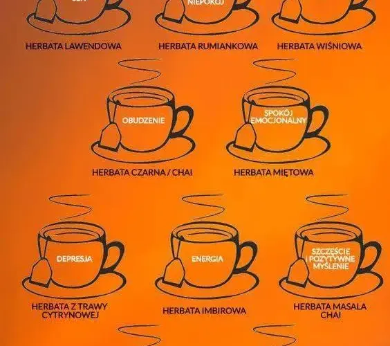 Jaka herbata na co? Lecznicze właściwości różnych rodzajów