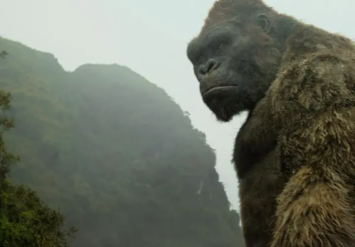 King Kong wyspa czaszki: Wszystkie szczegóły o filmie, które musisz znać