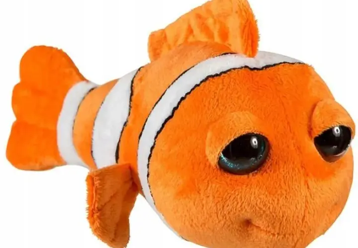 Ile kosztuje rybka Nemo? Ceny, które zaskoczą każdego aquarystę