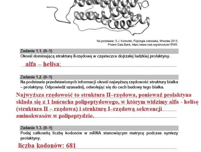 Co po rozszerzonej biologii? Kierunki studiów i zawody, które warto rozważyć