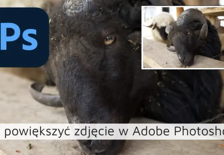 Jak powiększyć obraz w Photoshopie bez utraty jakości i szczegółów