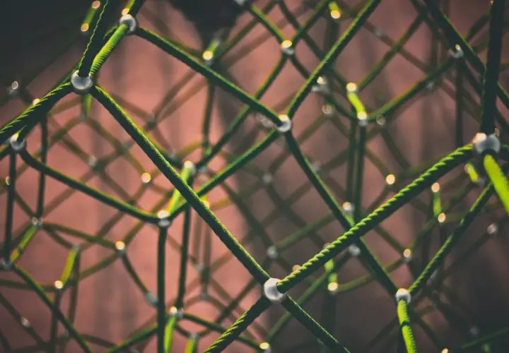Jak rozwijać startupy blockchainowe: Porady dla przedsiębiorców