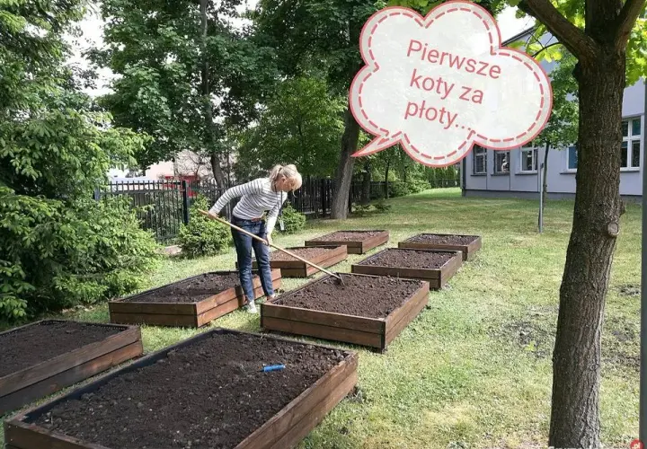 Ile kosztuje tona ziemi pod trawnik? Sprawdź ceny i uniknij przepłacania!