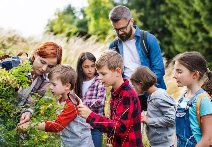 Czy kierownik kolonii może być jednocześnie wychowawcą? Sprawdź zasady