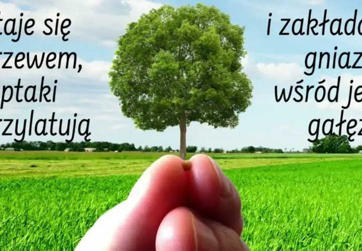 Przypowieść o gorczycy: Jak małe zaczyna rosnąć w wielkie?