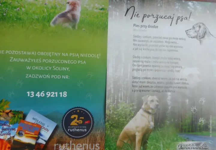 Poznaj prawdziwe powody dlaczego pies jest wierny swojemu właścicielowi