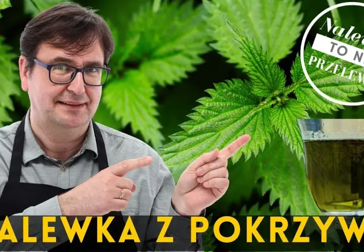 Jak zrobić nalewkę z pokrzywy - prosty przepis na zdrowy napój
