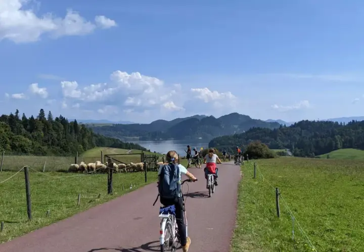 Trasa rowerowa Velo Czorsztyn – odkryj piękno jeziora i okolicy