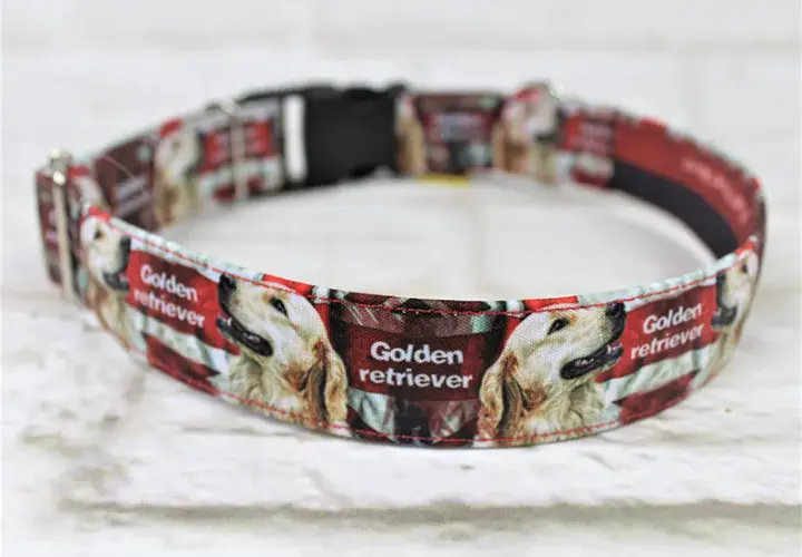 Jak dobrać idealną obrożę dla golden retrievera - kompletny poradnik