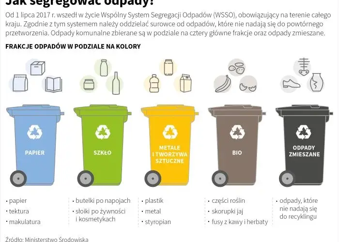 Czy śmieci zmieszane są sortowane i co to oznacza dla recyklingu?