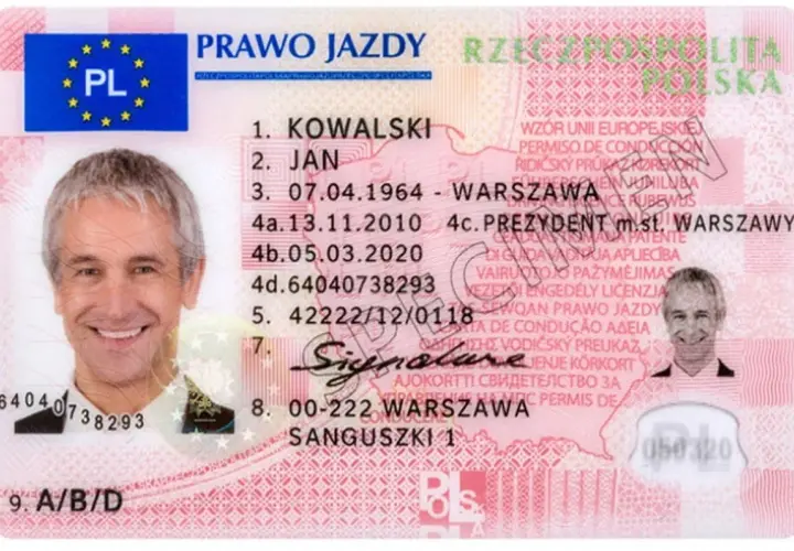 Jak szybko i łatwo sprawdzić termin egzaminu na prawo jazdy bez stresu