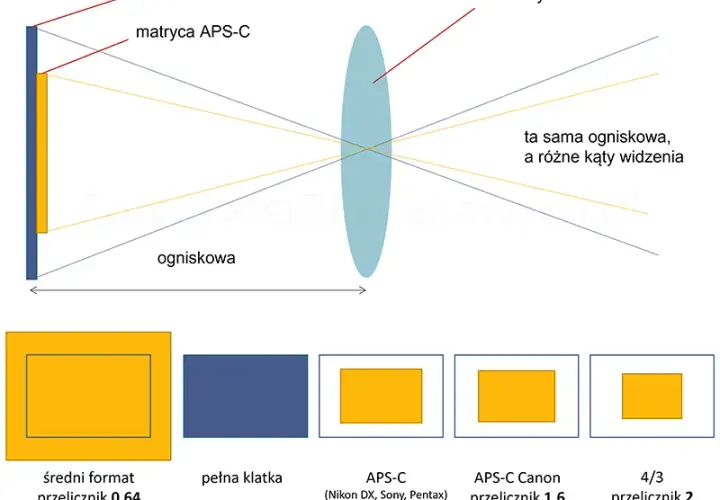 Jak prawidłowo ustawić ogniskową w aparacie i uniknąć nieostrych zdjęć