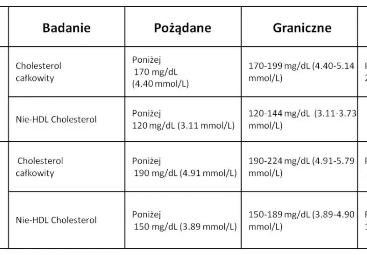 Jak skutecznie obniżyć cholesterol nie-HDL i cieszyć się lepszym zdrowiem