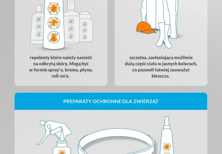 Czy pranie zabija kleszcze? Jaka temperatura skutecznie je niszczy?