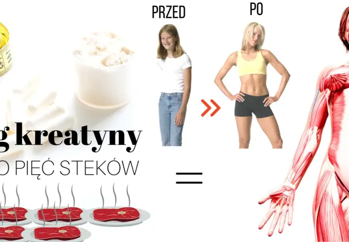 Skutki uboczne brania kreatyny – co musisz wiedzieć, aby uniknąć ryzyka