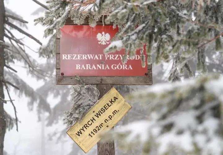 Najlepsze szlaki na Baranią Górę: trudność, czas i atrakcje