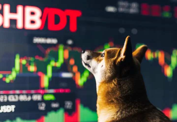 Handel Shiba Inu na Binance - Sprawdź możliwości inwestycyjne