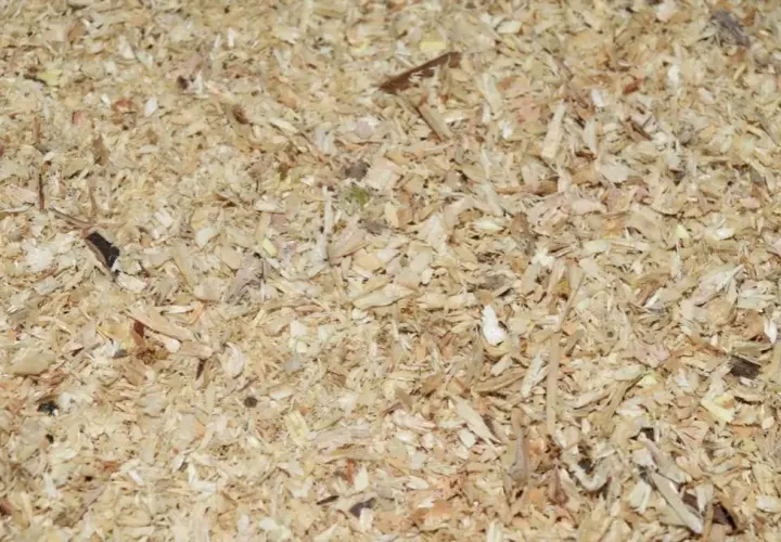 Ile trocin potrzeba na tonę pelletu? Obliczenia i optymalizacja produkcji