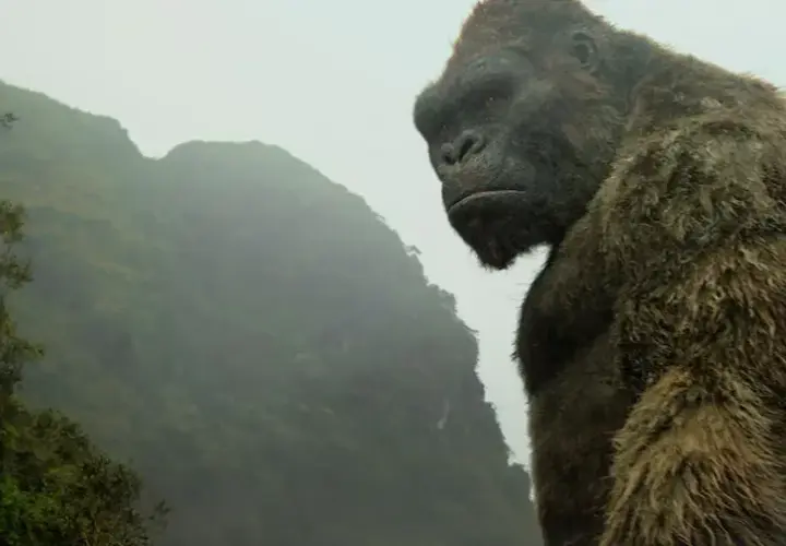 Kong: Wyspa Czaszki 2 - Co wiemy o kontynuacji hitowego filmu?
