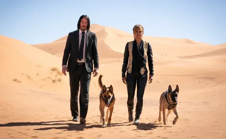 Psy w John Wick 3 - poznaj wyjątkowe czworonogi z kultowych scen akcji