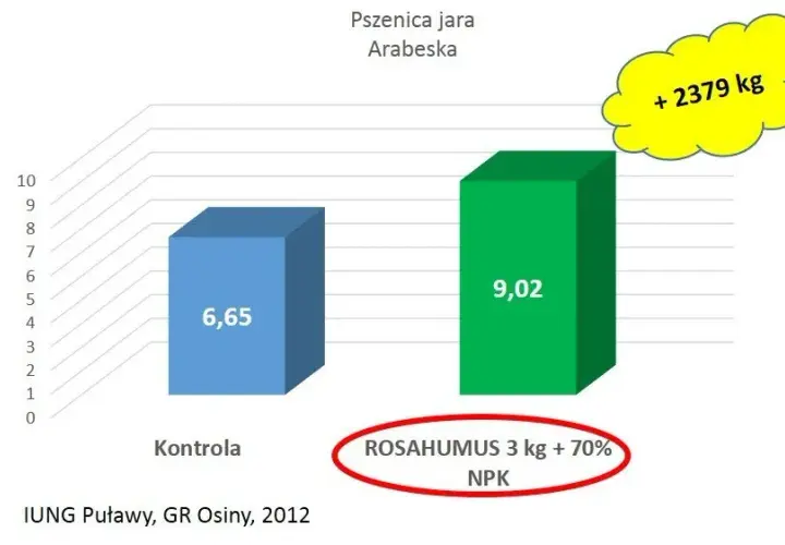 Jak uzupełnić fosfor w glebie, aby poprawić zdrowie roślin?