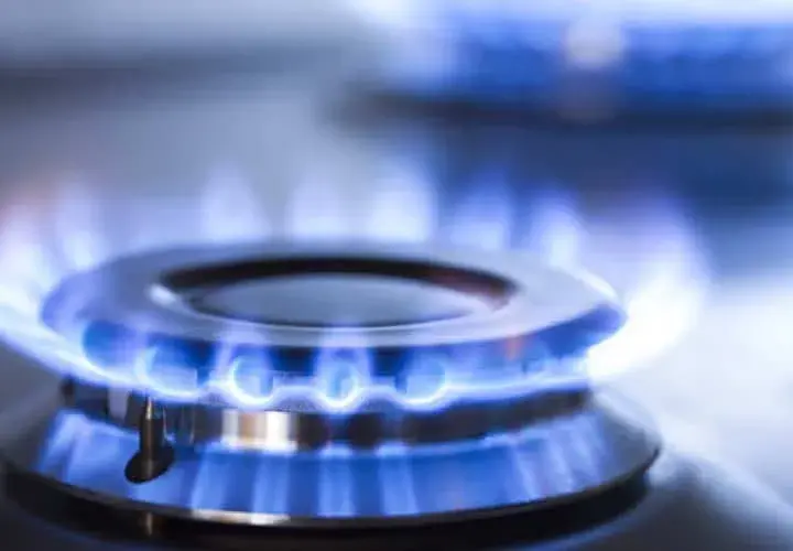 Gas natural y propano: diferencias clave para elegir el mejor combustible