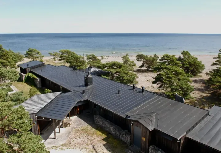 Wyspa Bergmana: Magiczne Fårö - Raj dla Miłośników Kina i Natury