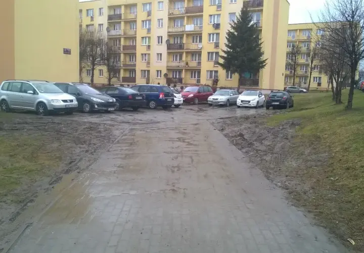 Czy można parkować na trawniku? Przepisy, kary i praktyczne porady