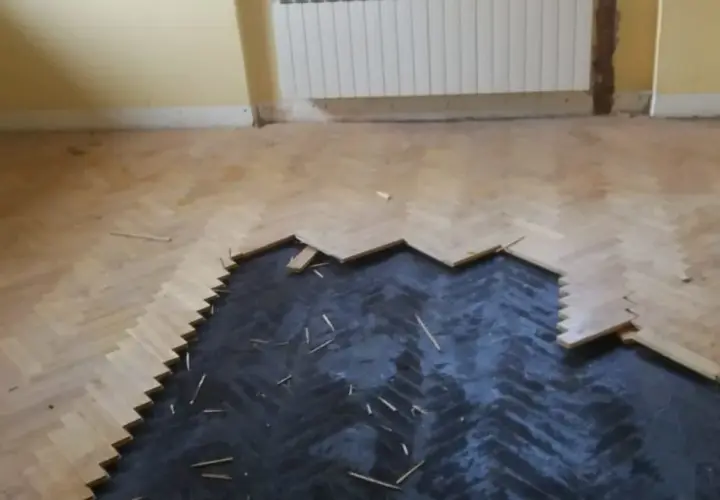Czy lepik pod parkietem jest szkodliwy? Odkryj zagrożenia dla zdrowia.