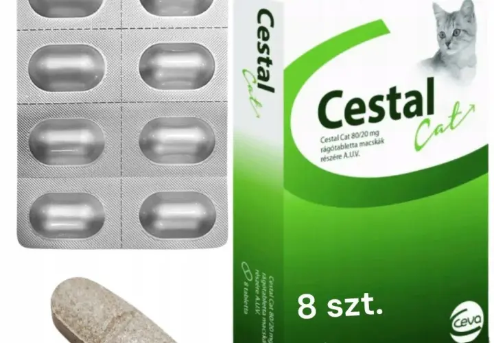 Jak działa tabletka na odrobaczanie kota i co warto wiedzieć?