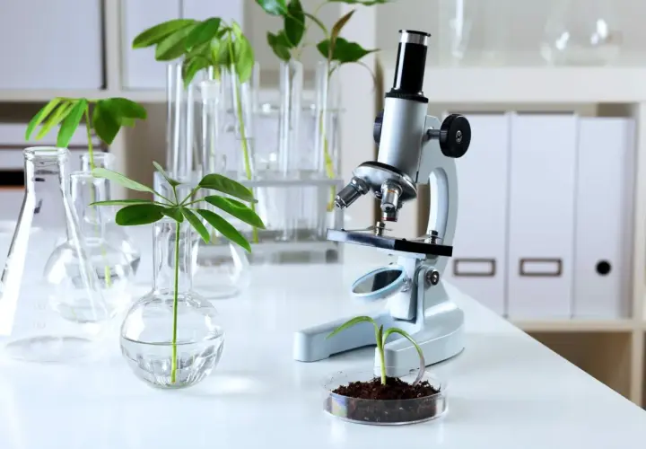 Biologia sądowa czy warto? Odkryj korzyści i możliwości kariery