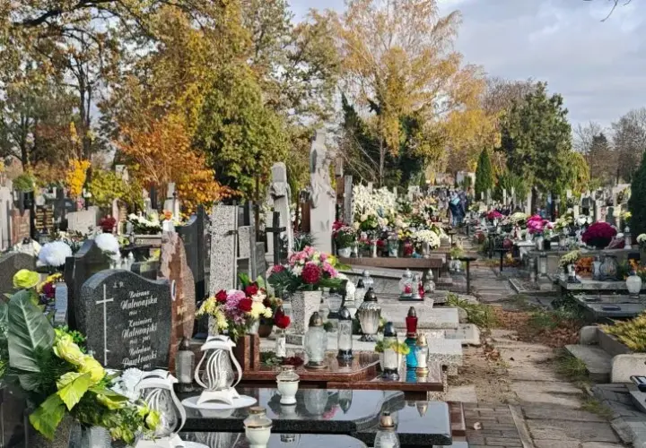 Jak znaleźć kogoś na cmentarzu i uniknąć trudności w poszukiwaniach